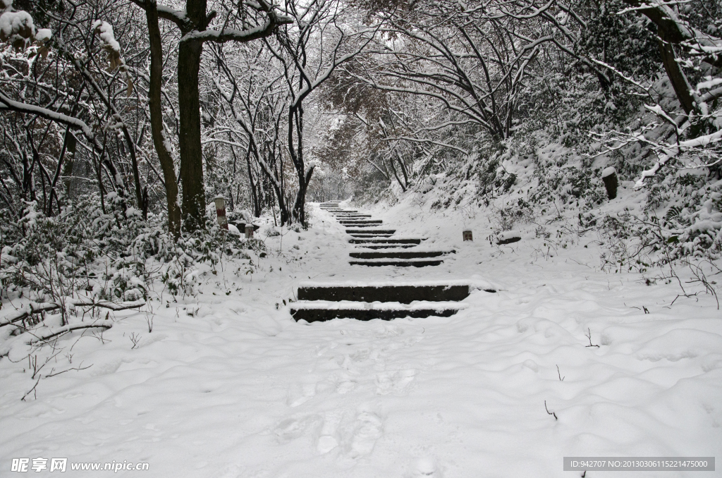 雪景