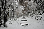 雪景