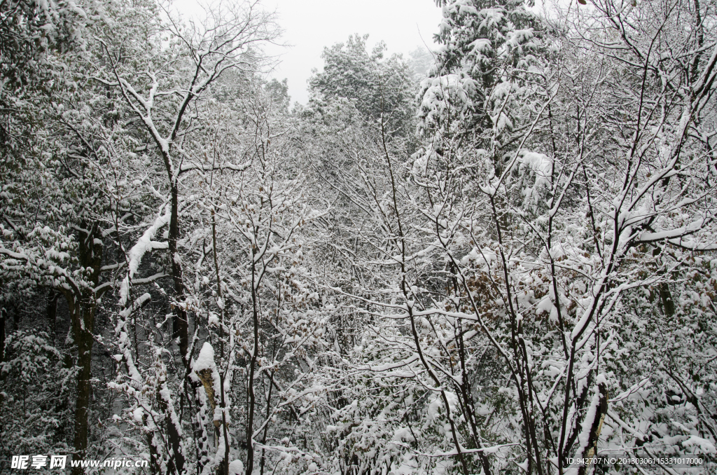 雪景