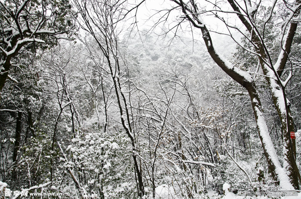 雪景