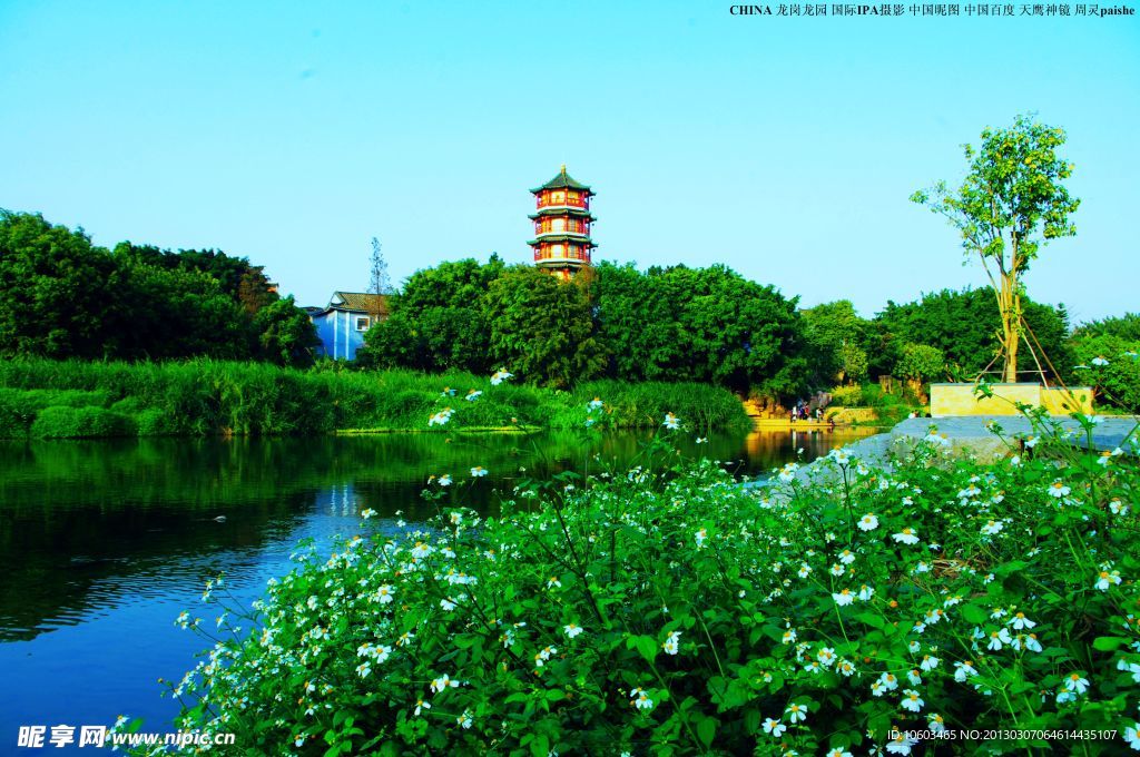 龙岗龙园 公园风景