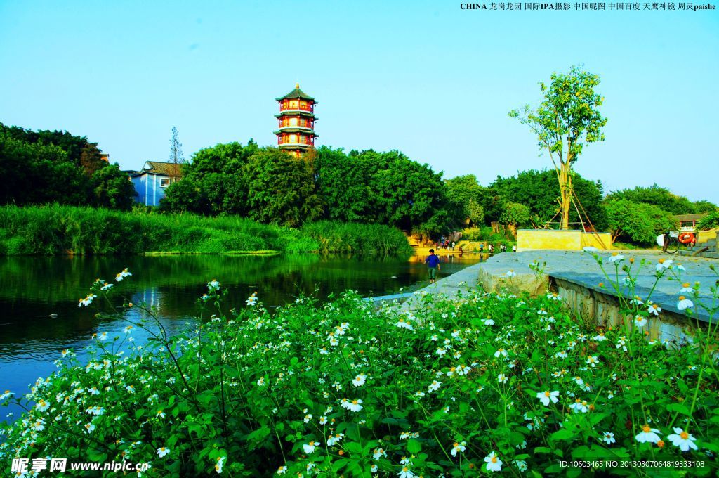 龙岗龙园 公园风景