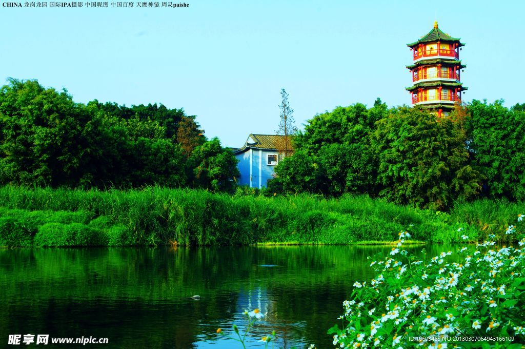 龙岗龙园 公园风景