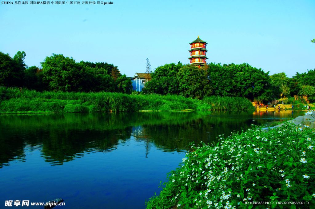 龙岗龙园 公园风景