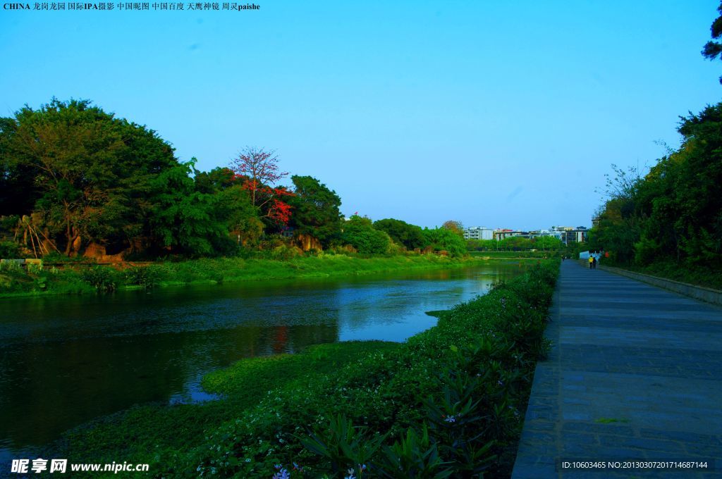 深圳龙园 龙岗河