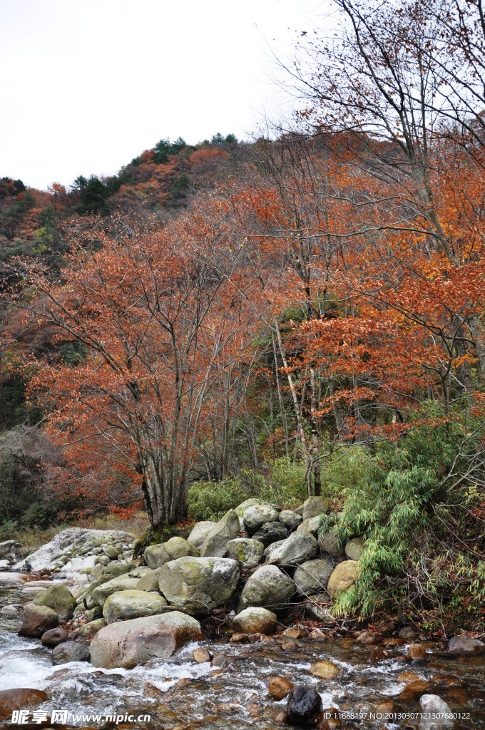 四川广元