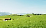 青山绿野