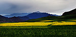 卓尔山风景