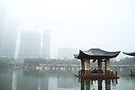 千灯湖公园一角