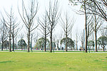 公园美景