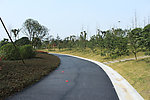 道路