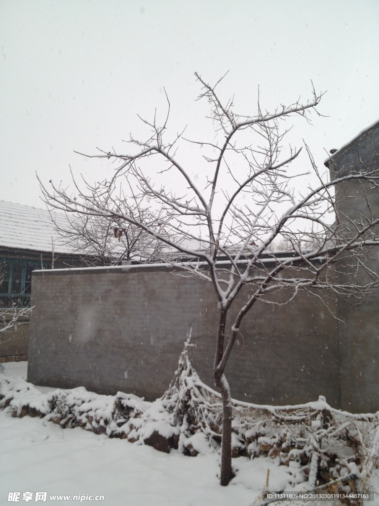 雪景