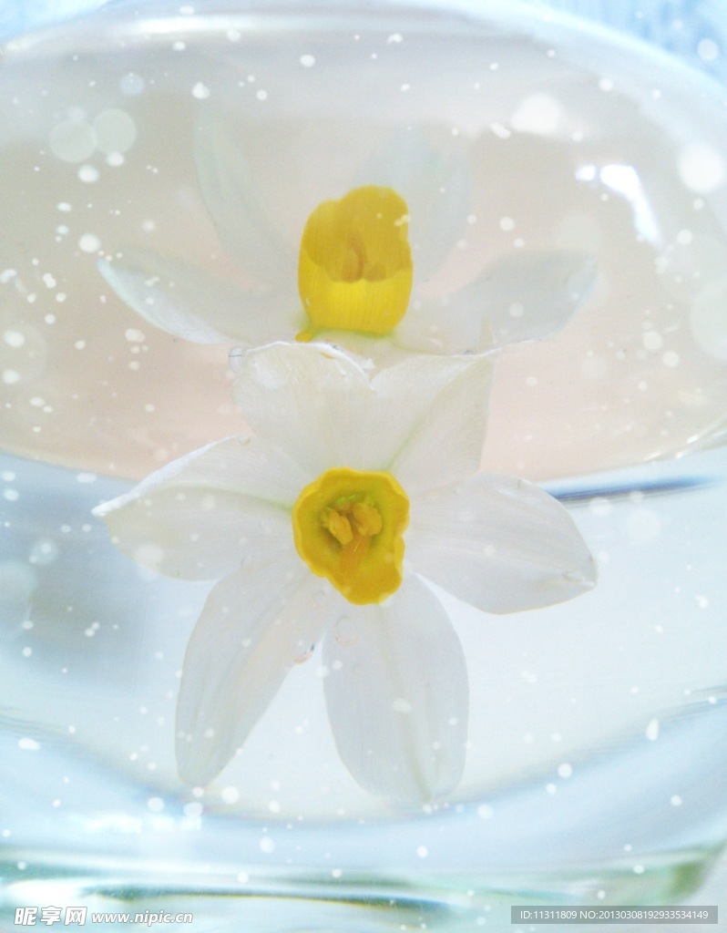 水仙