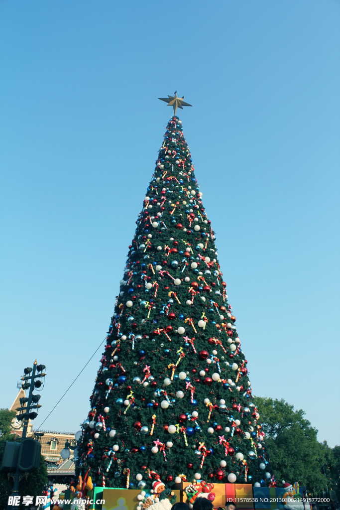 大型圣诞树