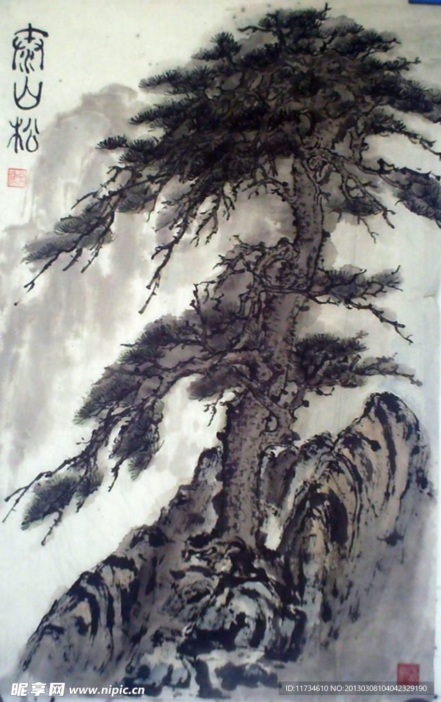 寿山松
