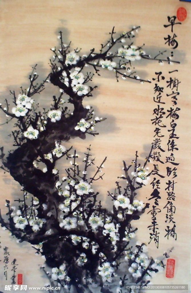 早梅