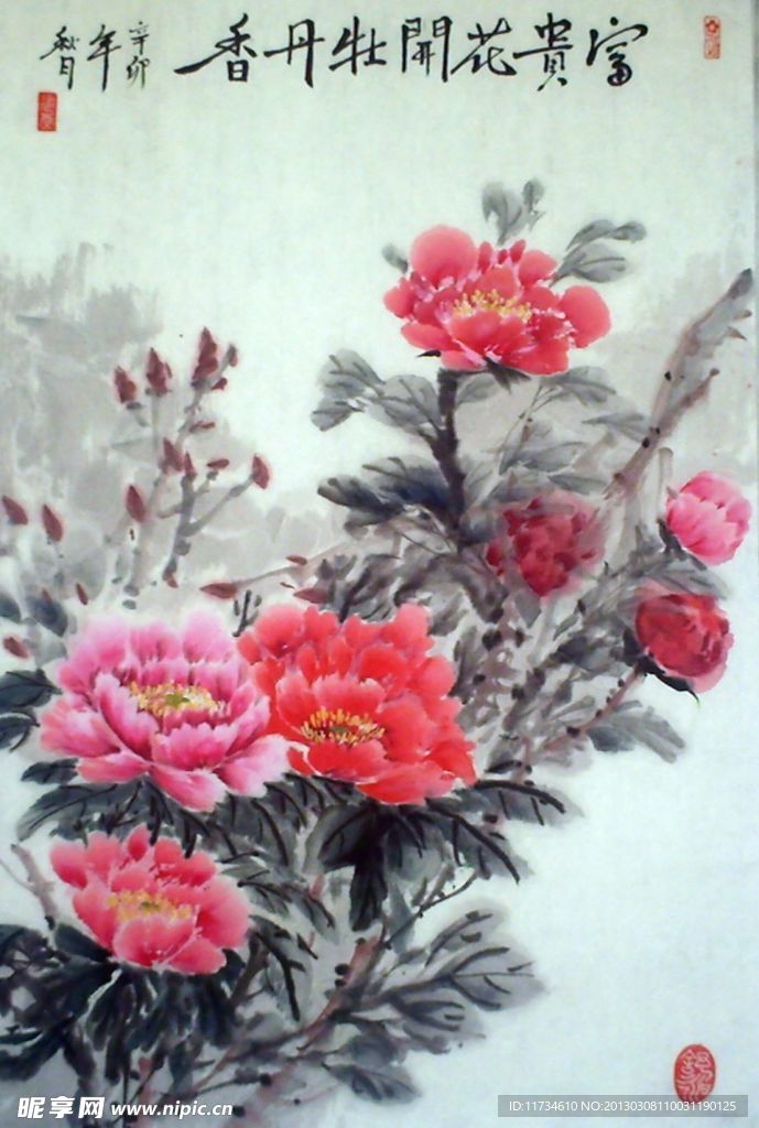 富贵花开