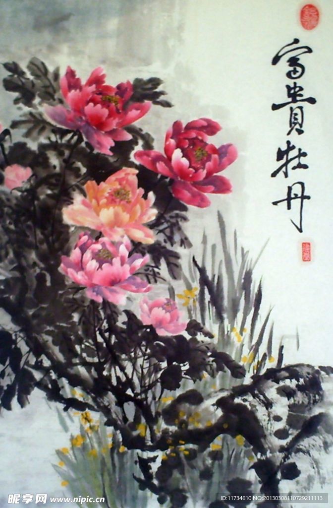 富贵牡丹