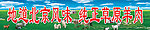 草原羊群