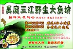 三江野生鱼