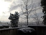 雪景