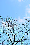 天空