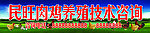 肉鸡养殖