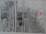 竹影