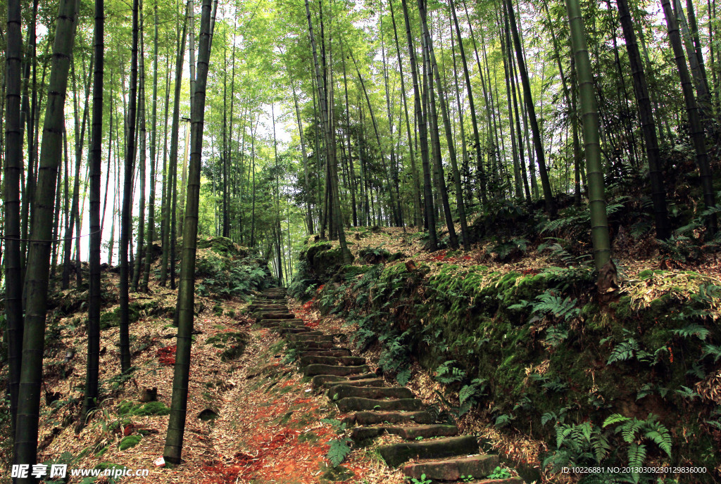 登竹山