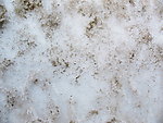 灰白色墙面 雪地