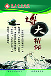 医院文化