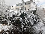 雪景