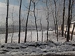 雪白 田野树木