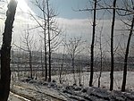 雪地 白色美丽世界