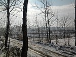 雪地 阳光