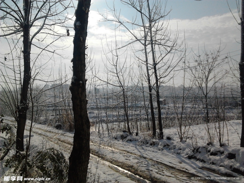 雪地 阳光