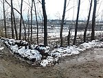 雪地雪后
