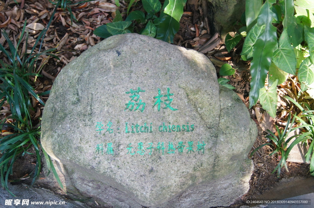 兴隆热带植物园