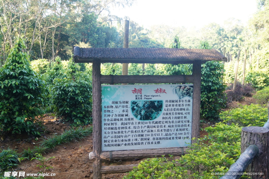兴隆热带植物园
