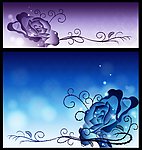 玫瑰花