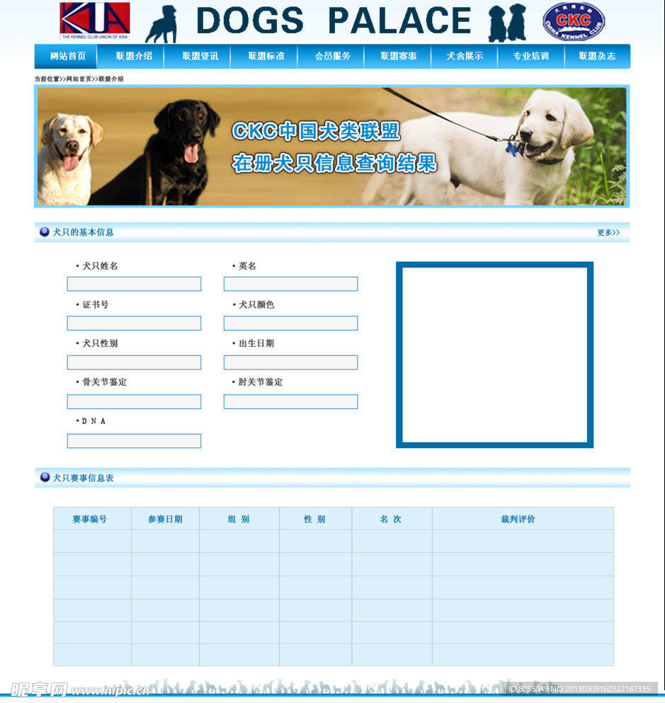 犬网站