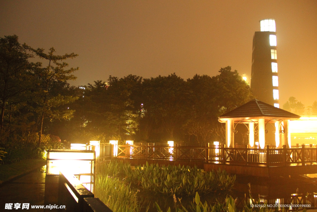 千灯湖公园夜景