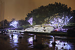 千灯湖公园夜景