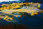 美丽梯田风景