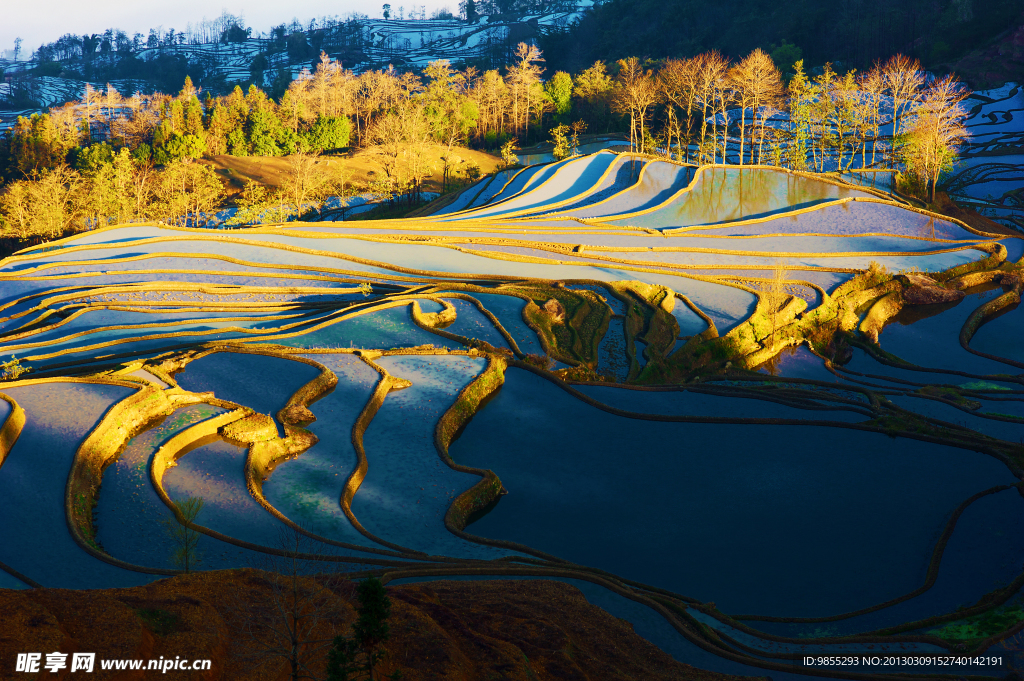 美丽梯田风景