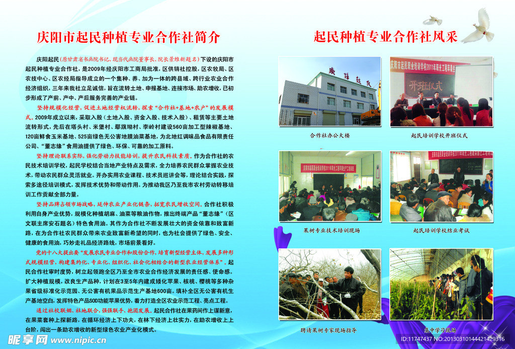 企业简介宣传