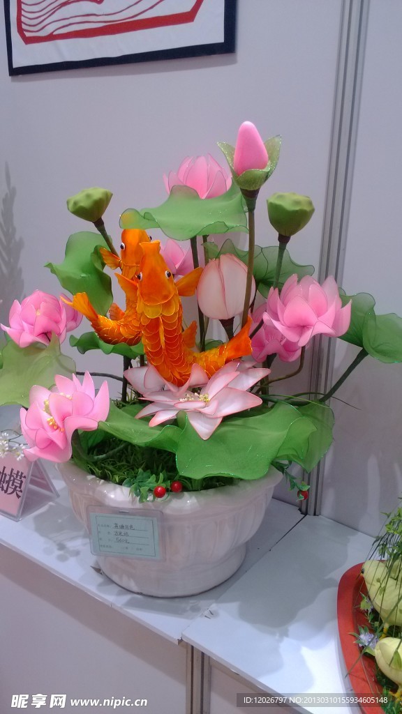 盘景荷花