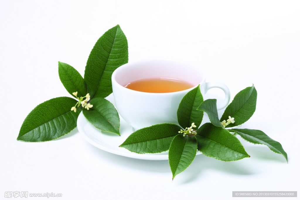 茶艺