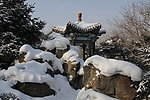 雪景