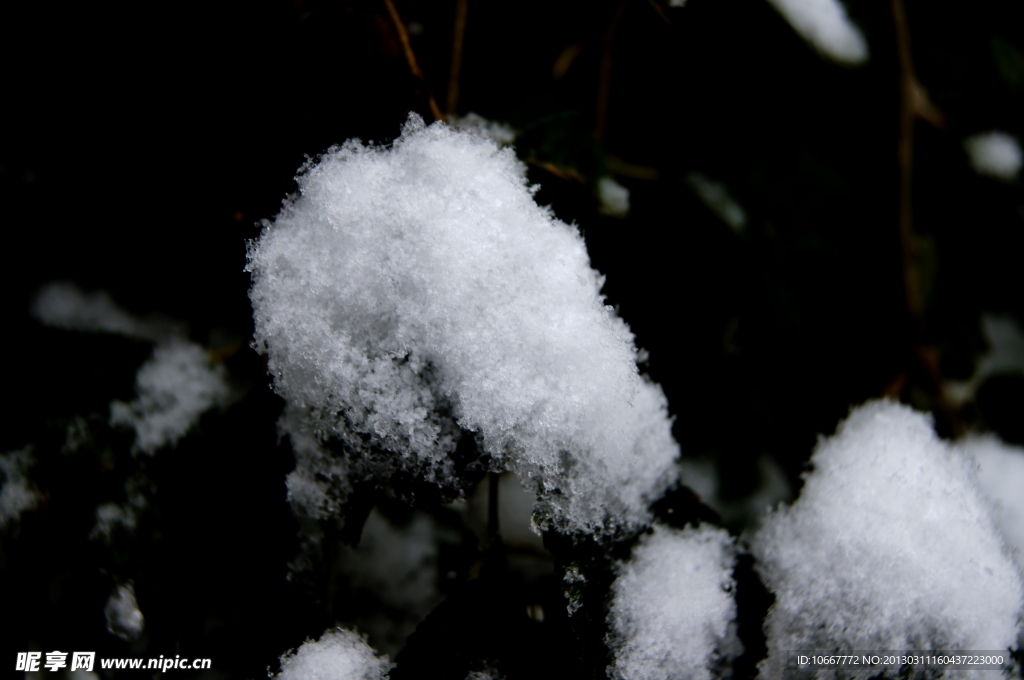 雪后